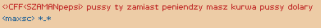19.PNG