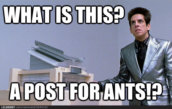 ants~.jpg