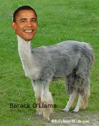 barack o llama.jpg