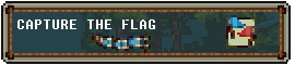 capture the flag.jpg