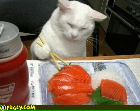 cat_eating_sushi.jpg