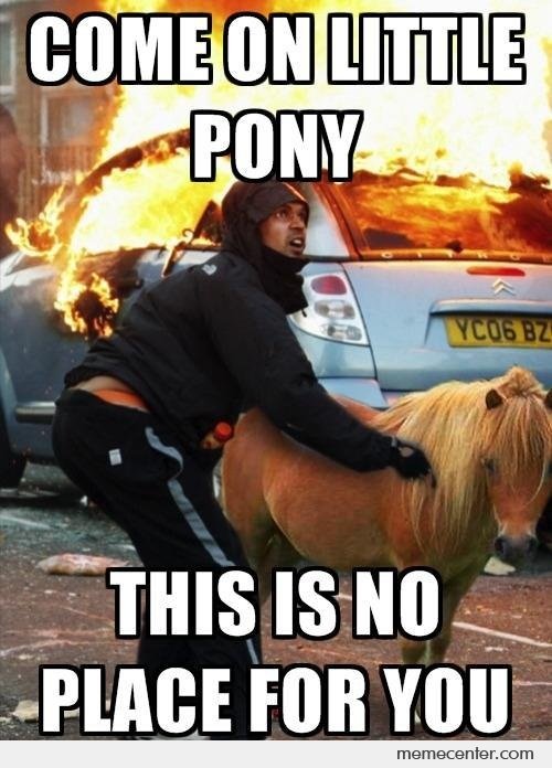 Come-On-Little-Pony_o_92780.jpg