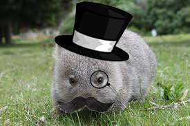 Dapper Wombat.png