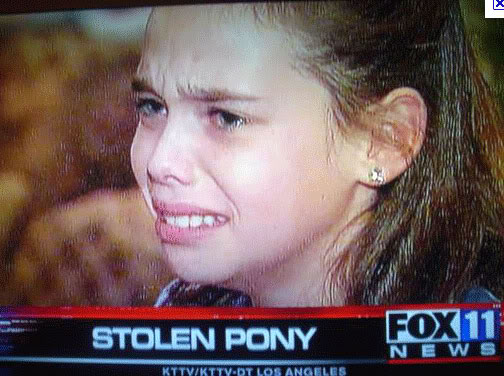 funny-white-girl-problems-stolen-pony.jpg