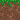 Grass.png