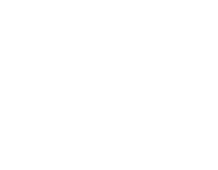 logo_sn_logo_white_website.png