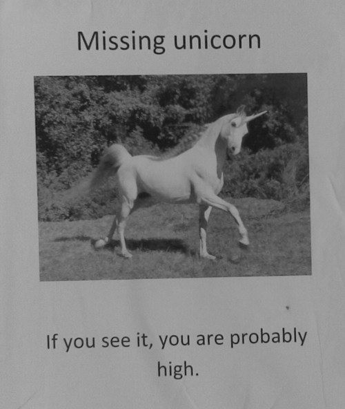 missing-unicorn.jpg