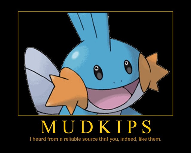 mudkipindeedlikethem.jpg