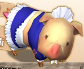 Pigmaid.PNG