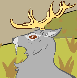 Stag-1(cropped).png