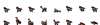 builderFemale.png
