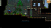 screen-13-07-23-20-15-32.png