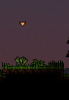 bush.png