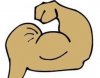 arm-clipart-build-muscle-clipart.jpg