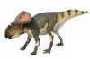 Protoceratops012.jpg