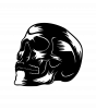 Skull_003.png