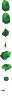 pine.png