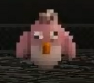 DerpyBirdie