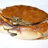 The-CrabSpy