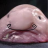 Sir_Blobfish