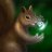 ArcaneSquirrel